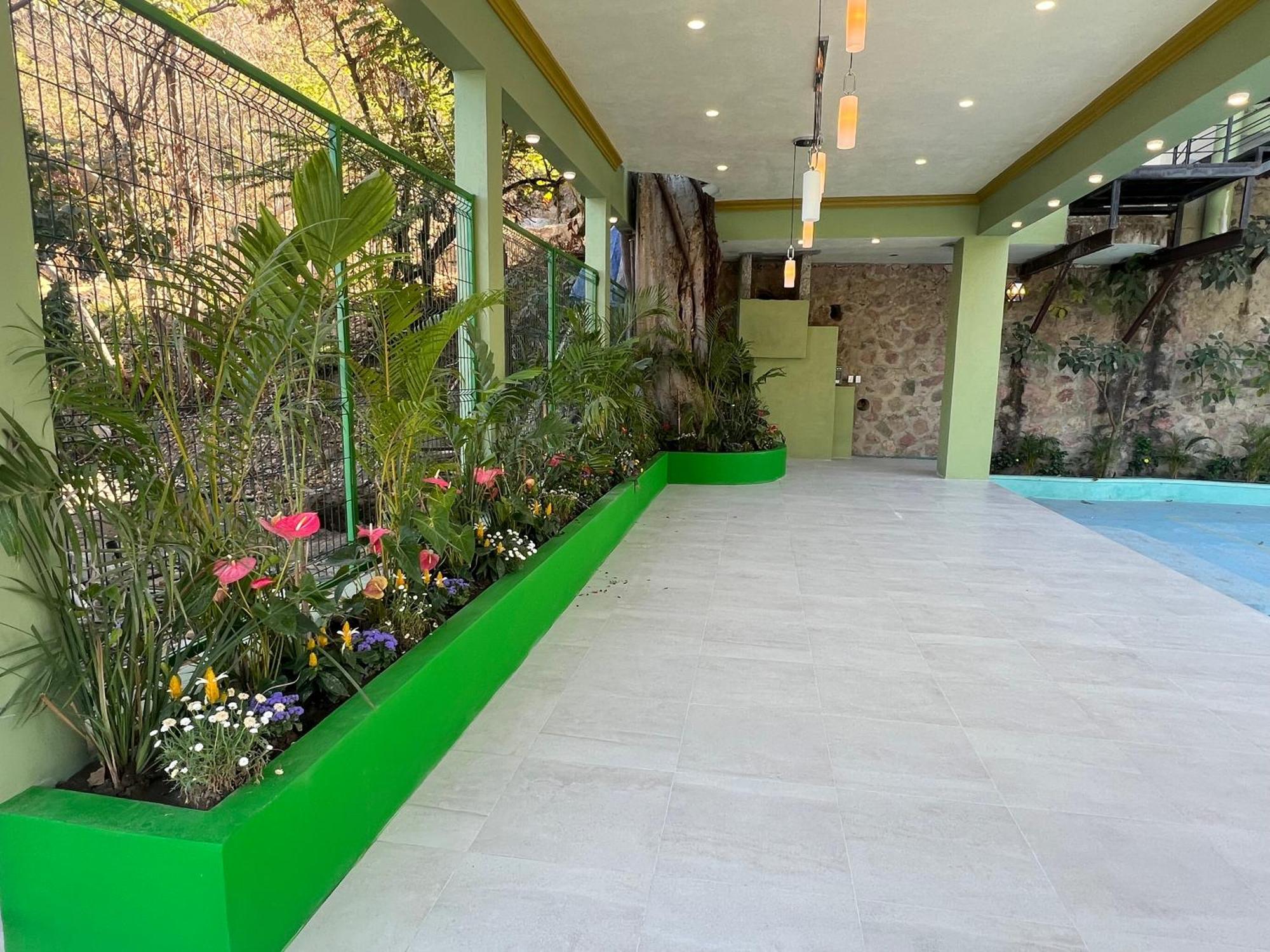 South Shore Villa Armonia Luxury Boutique Пуерто Валярта Екстериор снимка